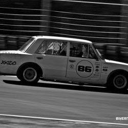 dzintara volga-5553